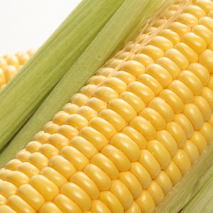 Sweet-Corn