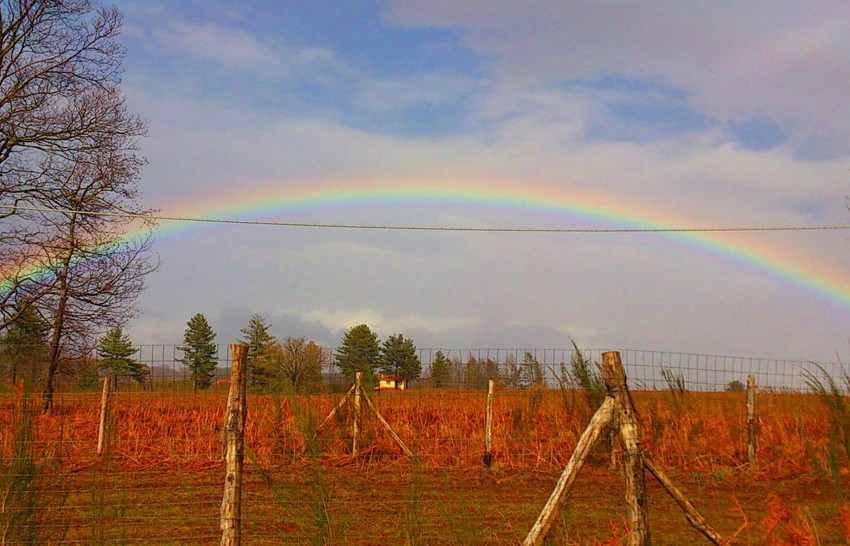 azienda-cappelleri1