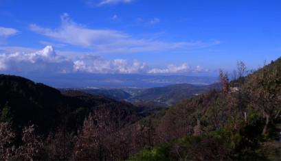 Azienda Agricola Reggio Calabria