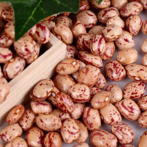 fagioli