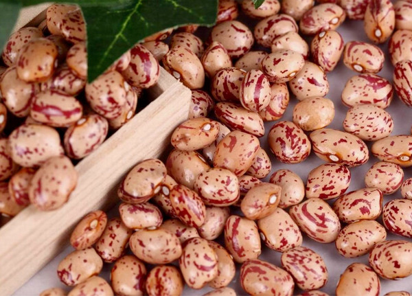 fagioli