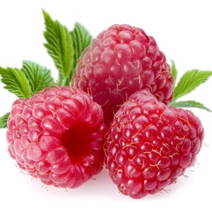 shutterstock_8482240