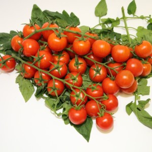 1.CILIEGINO2