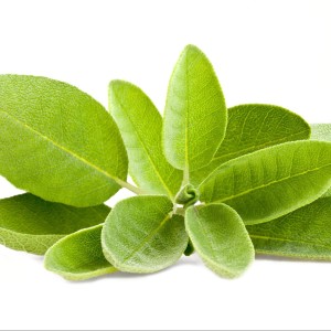 come-preparare-il-vino-alla-salvia_8b9cba2a3074858dca74026aadcd1473