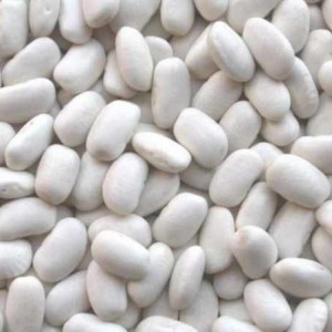 fagioli-bianchi