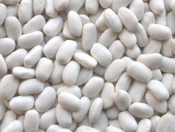 fagioli-bianchi