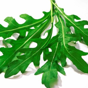 rucola